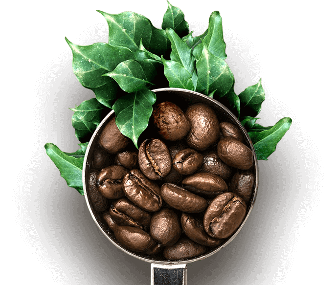Capsule, cialde e caffè disponibili da IMEA Caffè a Carugo (CO)
